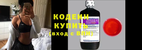 дживик Вяземский