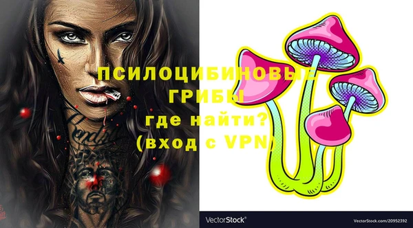 дживик Вяземский