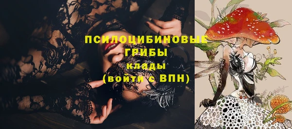 jwh Вязьма
