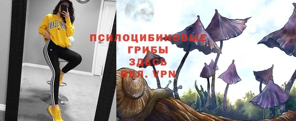 дживик Вяземский